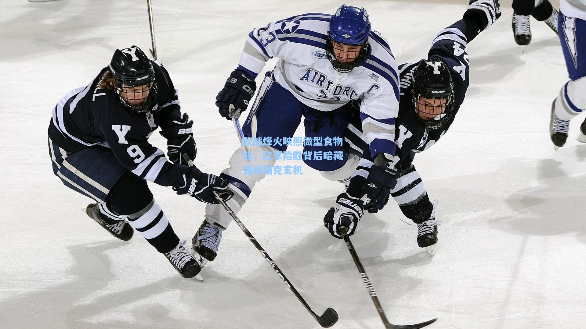 欧战烽火映照微型食物链,红军险胜背后暗藏强弱相克玄机
